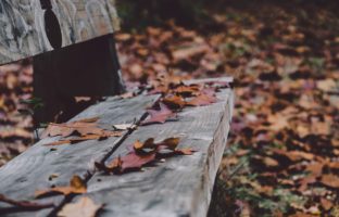 Surviving spouse