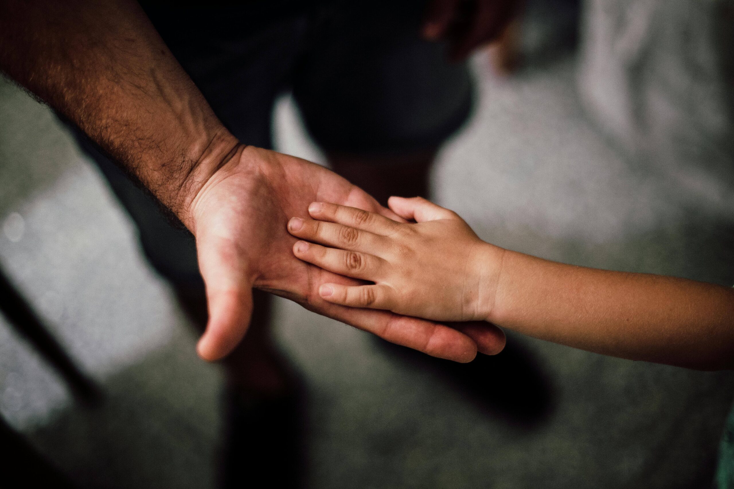 Parental Alienation in Family Law Cases – A Case Law Update - Mills ...